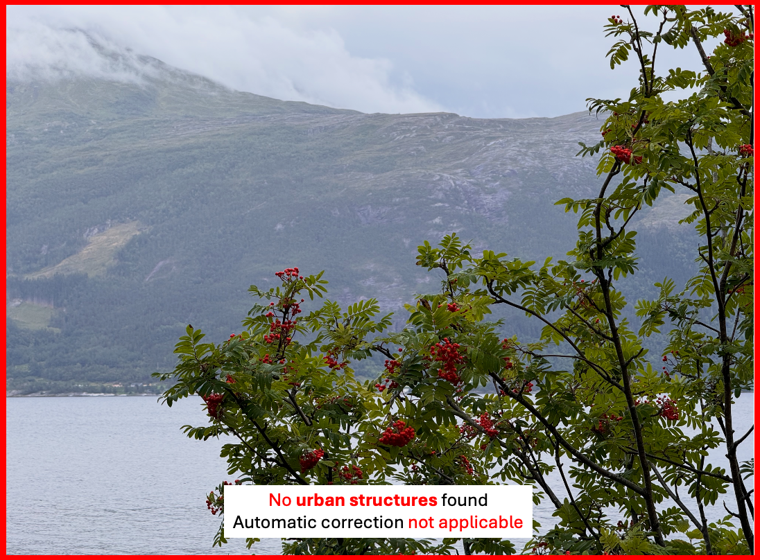 No urban structures detected